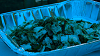 camp28 (168)_thumb.png